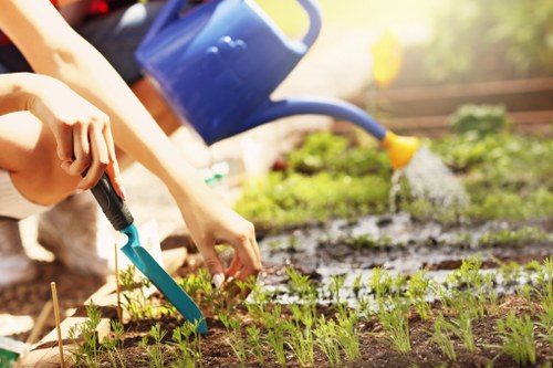 Gardener working in a small Dalston back yard