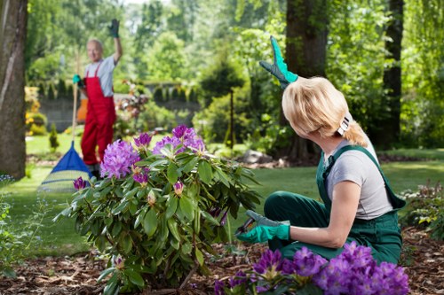 Professional lawn mowing service in Dalston