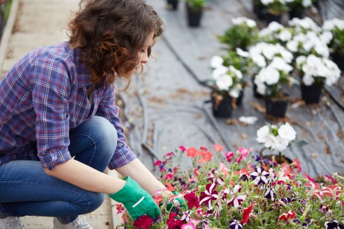 Professional garden clearance service in Dalston