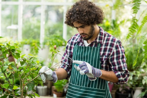 Professional gardener planning a new garden layout