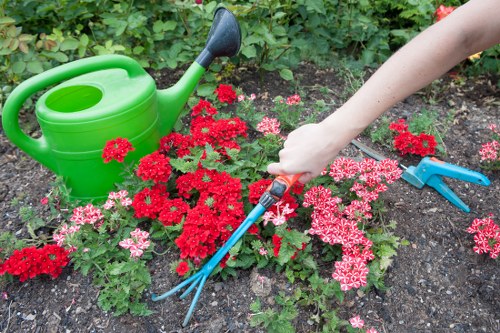 Gardening team preparing a detailed quote on site