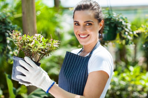 Clearing overgrown plants in a Dalston garden