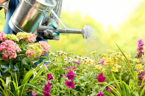Photograph of gardening tools and a service checklist