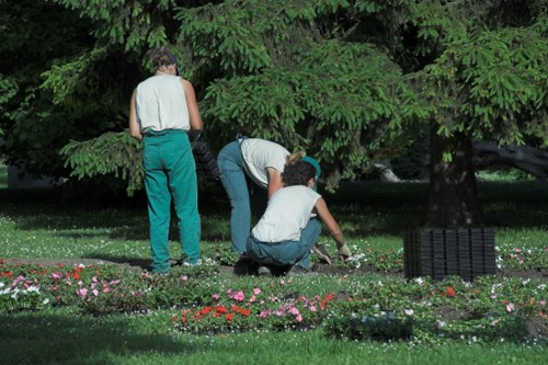 Garden tools and equipment for clearance