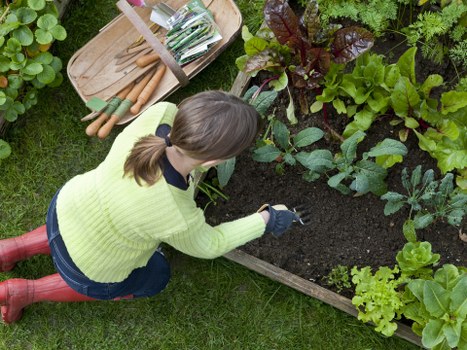 Eco-friendly garden clearance practices