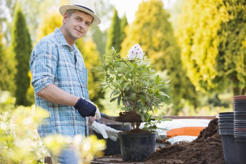 Variety of plants suitable for Dalston's climate