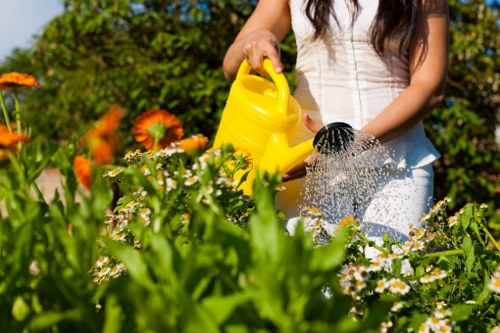 Eco-friendly lawn care in Dalston