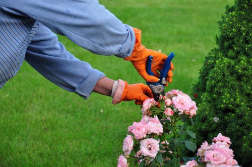 High-quality lawn mowing equipment
